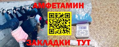прущие крисы Камышлов