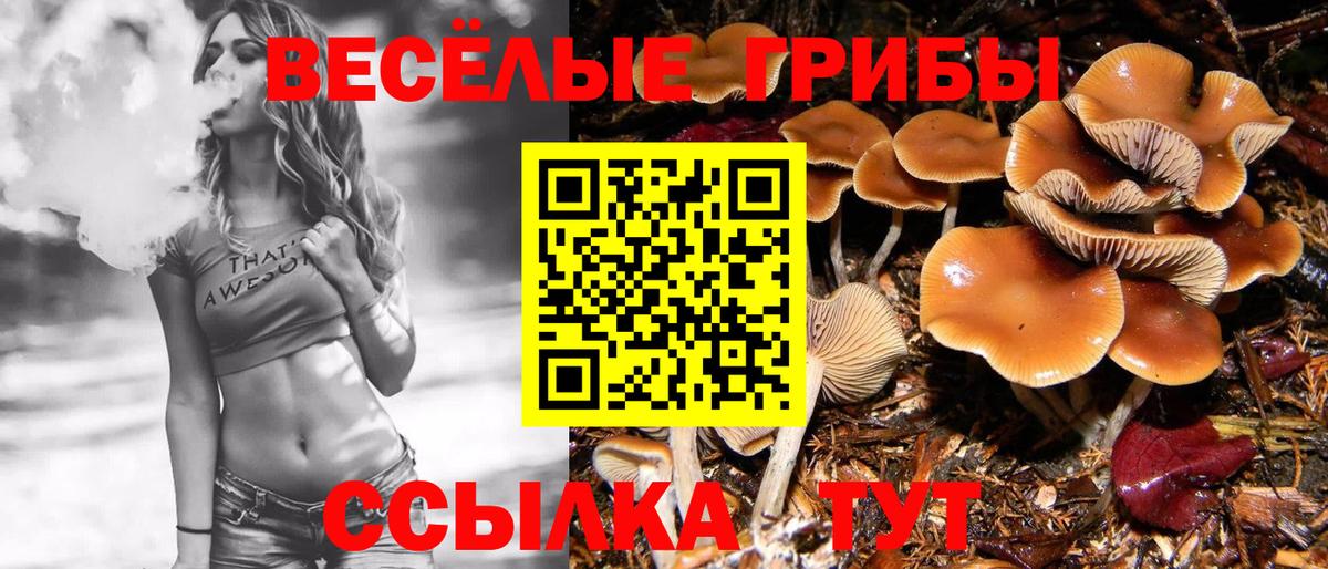 Псилоцибиновые грибы GOLDEN TEACHER Краснознаменск