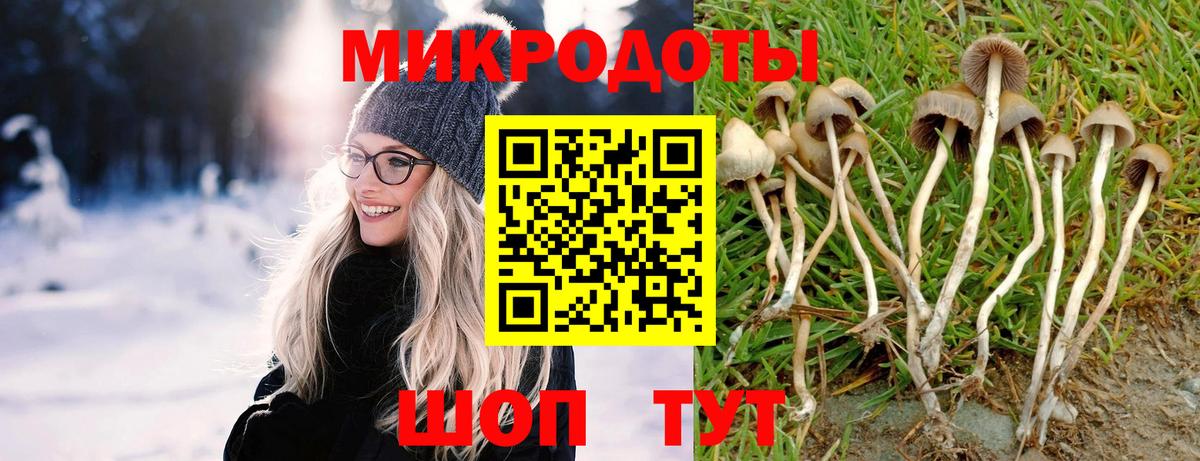 Псилоцибиновые грибы Psilocybe  Вход с VPN  Краснознаменск 